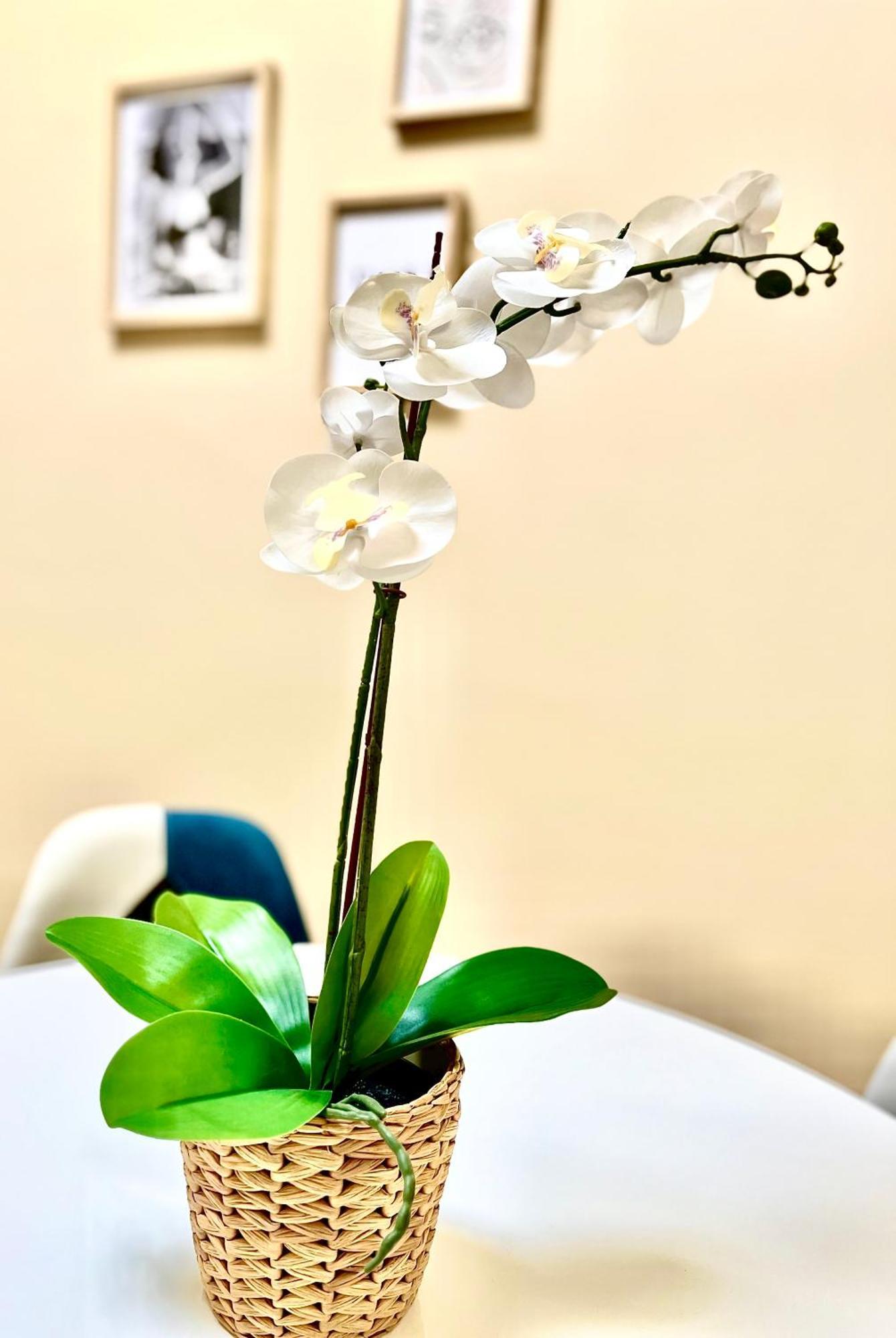 Apartment La Casa Di Totta San Maurizio Canavese